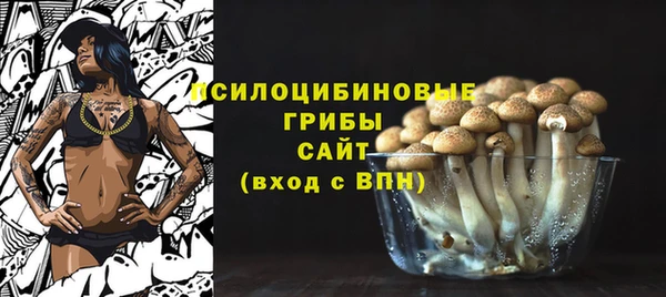дмт Нязепетровск