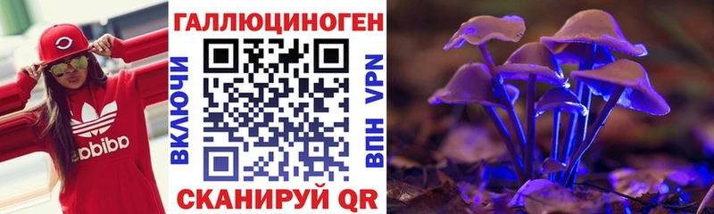 Галлюциногенные грибы Psilocybe  Солигалич 